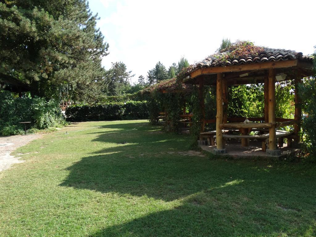 Hotel Grivitsa Pleven Kamer foto
